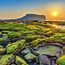 Đi Đảo Jeju Có Cần Xin Visa Không